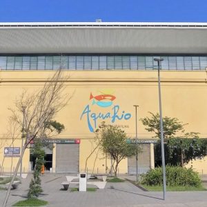 Vazamento derruba parte do teto do AquaRio e assusta visitantes