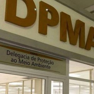 Operação contra rinha de galo termina com mais de 80 pessoas na delegacia