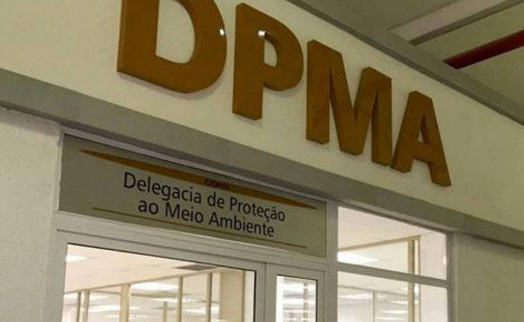 Operação contra rinha de galo termina com mais de 80 pessoas na delegacia