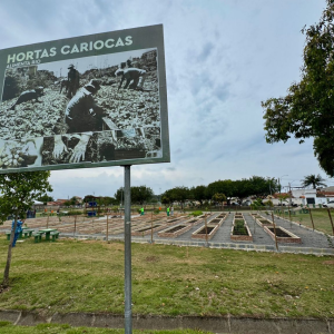 Com produção estimada em 6 toneladas de alimentos, Horta de