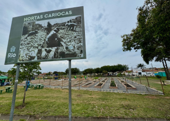 Com produção estimada em 6 toneladas de alimentos, Horta de