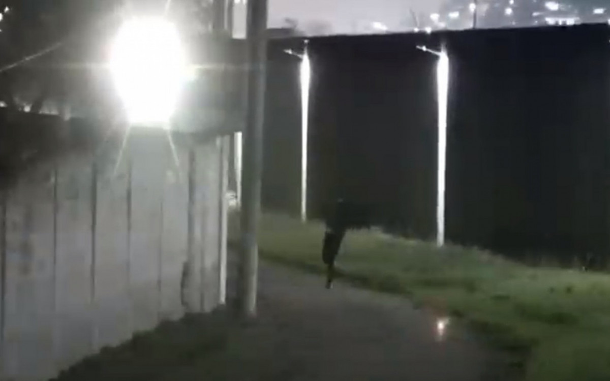 Polícia Penal frustra plano de fuga no Complexo de Bangu