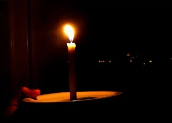 Ventania derruba árvore, causa apagão e deixa moradores sem energia em Niterói; equipes atuam para restabelecer o fornecimento.