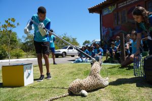 Projeto Estudo Vivo apresenta avanços na educação municipal de São Gonçalo ao longo de 2025.