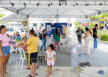 Prefeitura de Maricá promove adoção responsável e cadastro para castração de cães e gatos