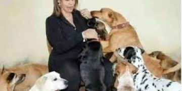 Sindicato dos Jornalistas apela por apoio a Patrícia Nunes, com grave quadro de saúde