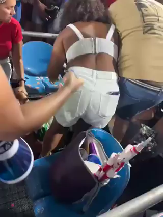 Confusão entre frequentadores durante ensaios na Sapucaí gera correria, intervenção da segurança e vídeos que viralizam nas redes.