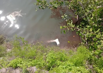 Restos humanos são encontrados na Baía de Guanabara em Niterói