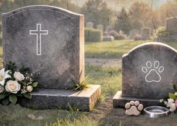 Projeto de lei no Rio autoriza sepultamento de animais domésticos no mesmo jazigo que tutores