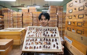 Homem nas Filipinas ganha destaque ao promover conscientização sobre importância ambiental dos insetos.