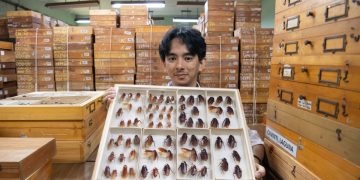 Homem nas Filipinas ganha destaque ao promover conscientização sobre importância ambiental dos insetos.