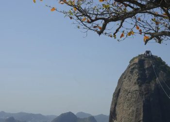 Justiça Federal anula licença de tirolesa no Pão de Açúcar e determina recuperação ambiental