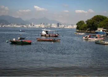 Partes de corpo humano são encontradas na Baía de Guanabara, em Niterói
