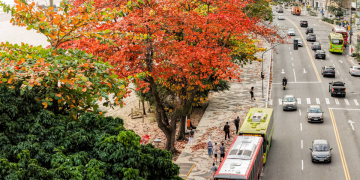 Niterói conquista certificação internacional pela gestão sustentável de áreas verdes pelo quinto ano consecutivo