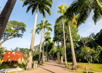 BioParque do Rio comemora cinco anos com programação cultural, ações educativas e experiências nos bastidores
