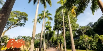 BioParque do Rio comemora cinco anos com programação cultural, ações educativas e experiências nos bastidores