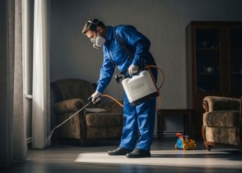 Preço e métodos de descupinização de móveis históricos no Brasil