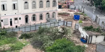 Projeto de transparência na retirada de árvores na zona sul do Rio é aprovado