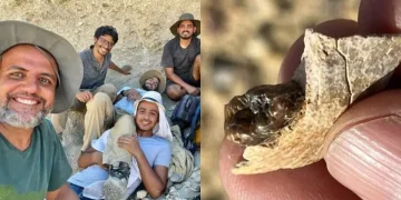 Pesquisa identifica nova espécie de macaco no Egito, expandindo origem evolutiva na África