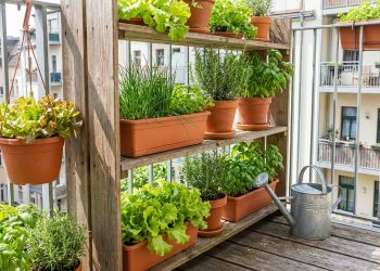 Horta inteligente e econômica: técnicas para otimizar espaço e reduzir consumo de água