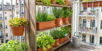 Horta inteligente e econômica: técnicas para otimizar espaço e reduzir consumo de água