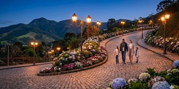 Miguel Pereira, a cidade serrana que oferece clima ameno, festas florais e atrações familiares
