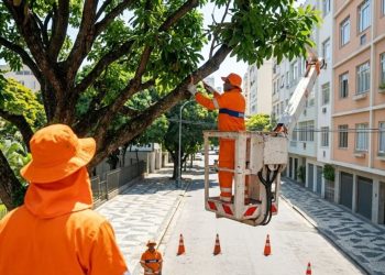 Rio simplifica solicitações de poda com aplicativo oficial 1746