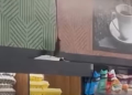 Imagens de rato em supermercado no Barreto geram críticas e reforçam cobrança por fiscalização