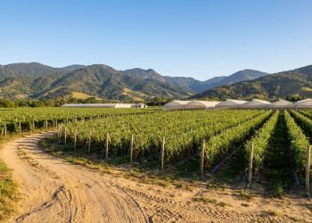 Paty do Alferes: polo de agricultura, segurança e qualidade de vida no interior do RJ