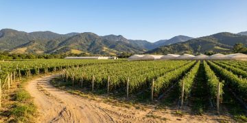 Paty do Alferes: polo de agricultura, segurança e qualidade de vida no interior do RJ