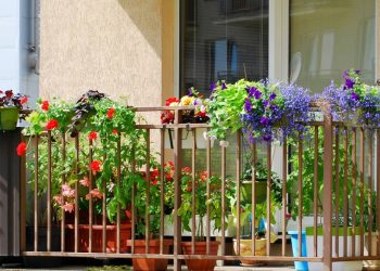 Tendências de 2026: espécies resistentes ecompactas para varandas pequenas e sustentáveis