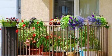 Tendências de 2026: espécies resistentes ecompactas para varandas pequenas e sustentáveis