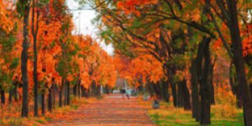 Início do outono no Brasil deve manter dias quentes e abafados até maio