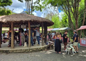 Feira Cores e Sabores celebra o Mês da Mulher com foco em produtoras e artistas locais