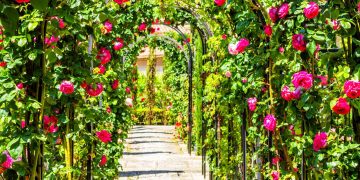 Jardins resistentes ao calor em corredores externos ganham destaque em projetos de 2026