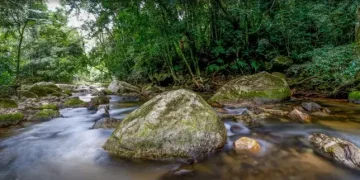 MMA apresenta Plano Decenal do Sisnama para fortalecer gestão ambiental no Brasil
