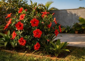 Jardim sempre florido: espécies que mantêm a beleza o ano todo no Brasil