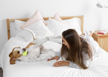 Pets transformam o padrão de moradia com espaços integrados, conforto e design sofisticado