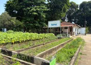 Sesc RJ oferece visitas pedagógicas gratuitas à Fazendinha Agroecológica na Penha