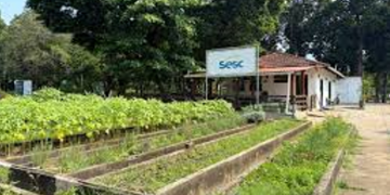 Sesc RJ oferece visitas pedagógicas gratuitas à Fazendinha Agroecológica na Penha