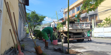 Zona Oeste do Rio recebe plantio de 181 mudas no programa Corredores Verdes