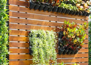 Jardim vertical em apartamentos alugados: soluções práticas e removíveis para ambientes menores