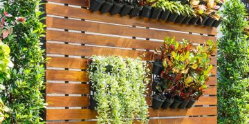 Jardim vertical em apartamentos alugados: soluções práticas e removíveis para ambientes menores