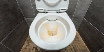 Técnicas e dicas econômicas para prevenir o encardido no vaso sanitário