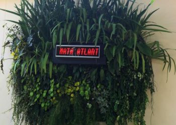 Rio inaugura painel de monitoramento em tempo real de árvores na Praia de Copacabana