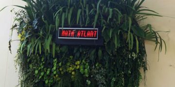 Rio inaugura painel de monitoramento em tempo real de árvores na Praia de Copacabana