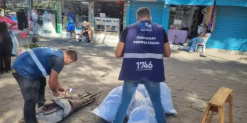 Rio de Janeiro inicia gestão de Eduardo Cavaliere com orçamento recorde e foco em ordenamento urbano