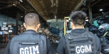 Prefeitura de Niterói realiza 18ª fase da Operação Asfixia com fiscalizações e apreensões