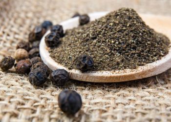 Cultivo de pimenta-do-reino: técnicas para antecipar a primeira colheita