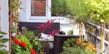 Dicas para plantas resistentes ao calor no Rio de Janeiro com uso eficiente de água